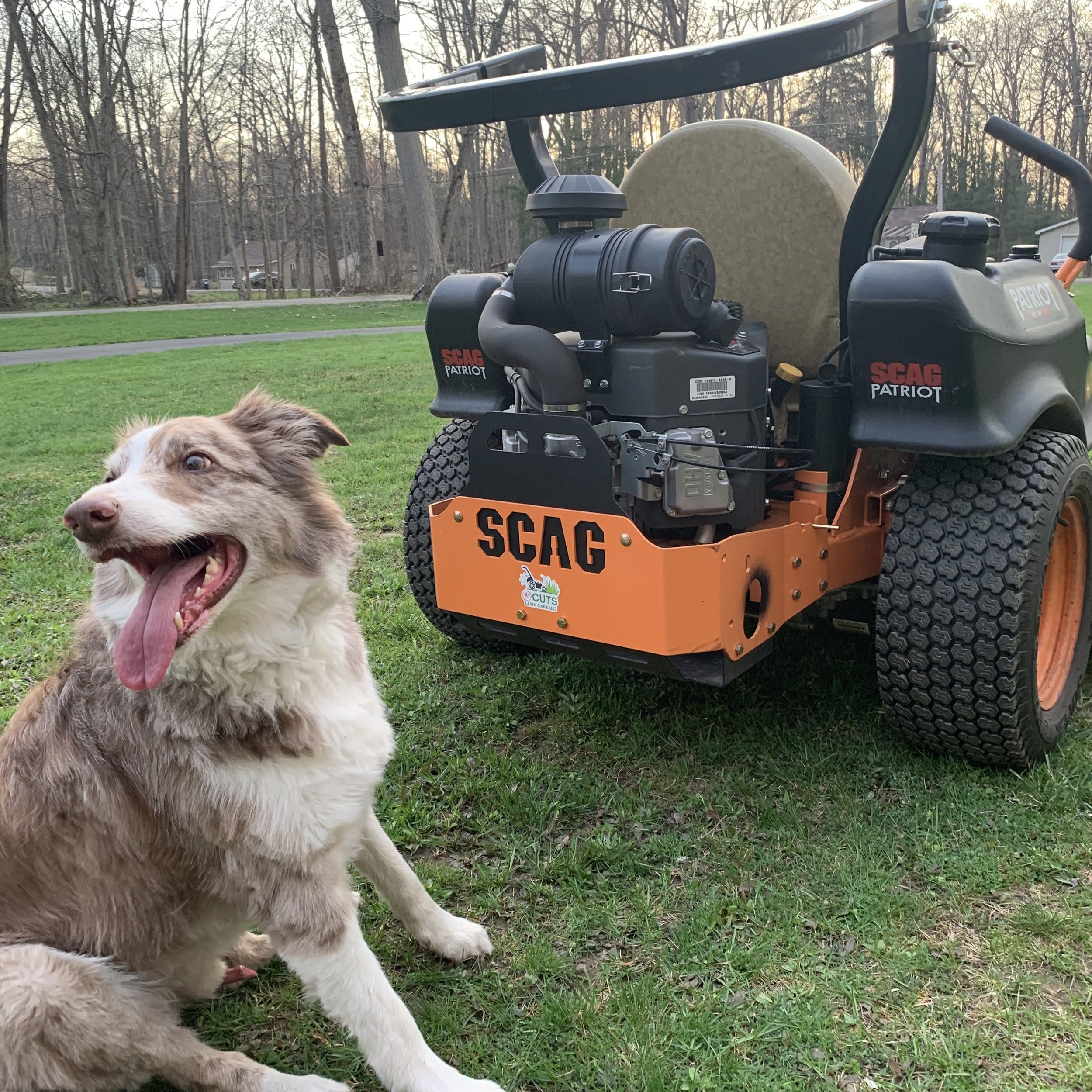 Team working on a lawn