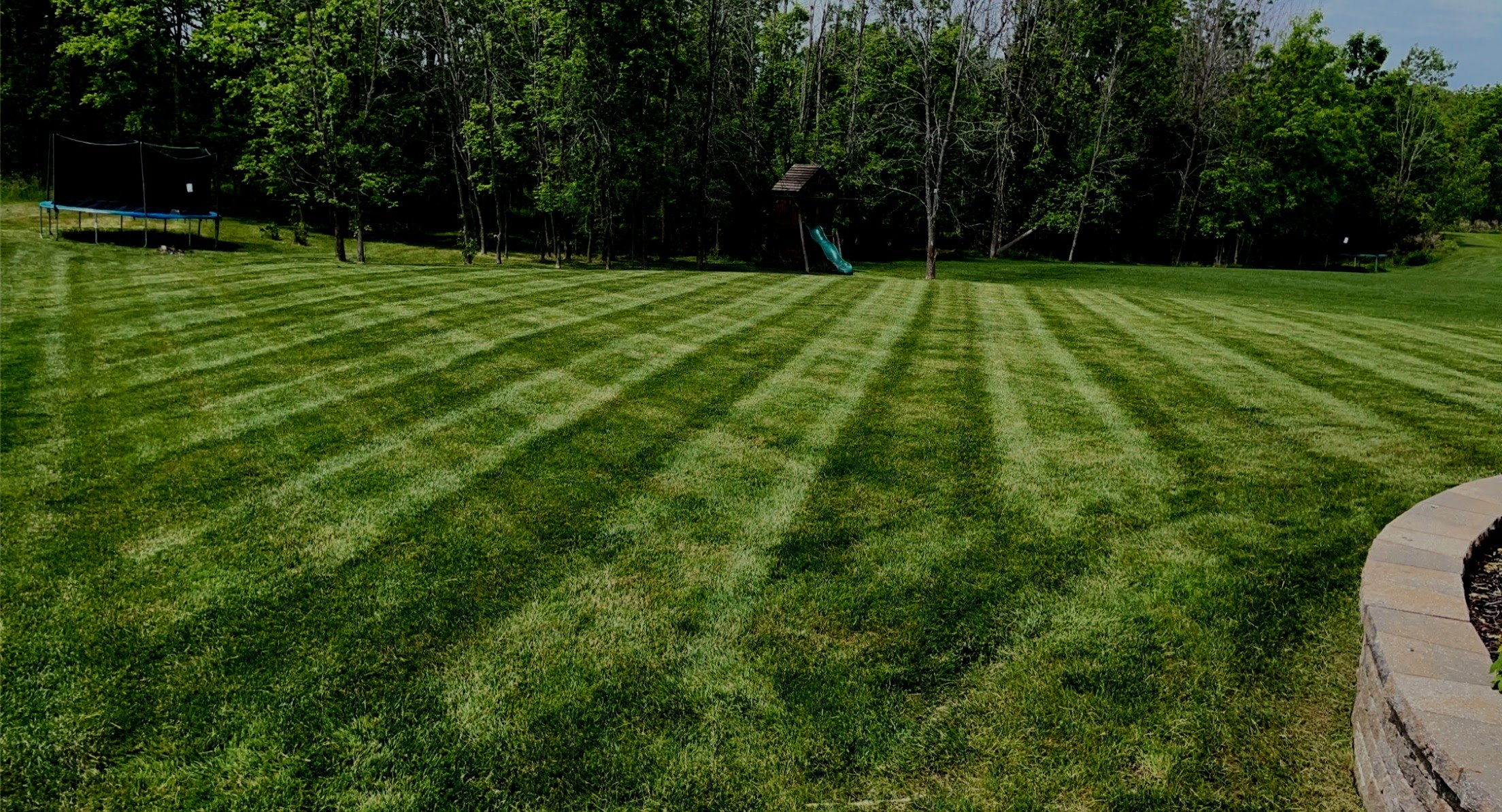 Lawn care background