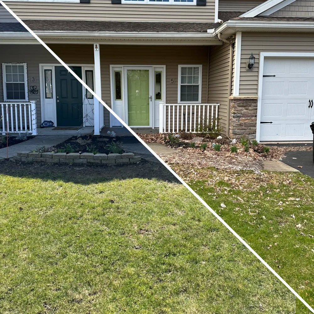 Navigate to photos of our Property Cleanups