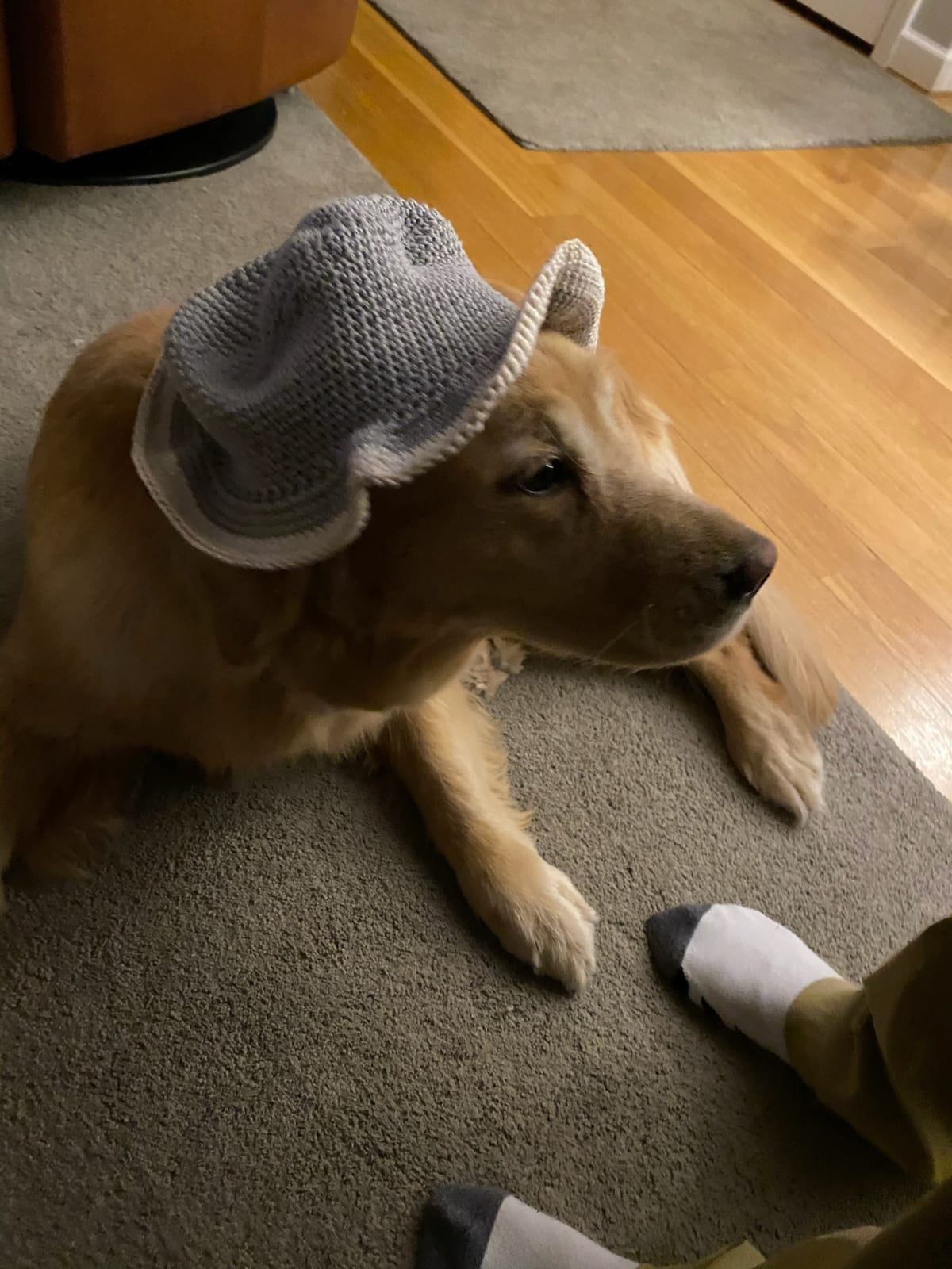 Classic Gray Bucket Hat - Image 1