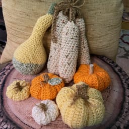 Autumn Harvest Collection - Thumbnail 2