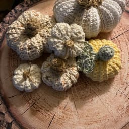 Farmhouse Pumpkin Patch - Thumbnail 1