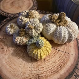 Farmhouse Pumpkin Patch - Thumbnail 2