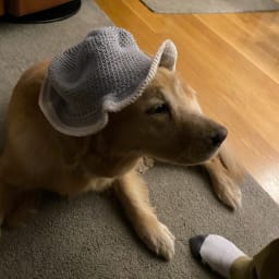 Classic Gray Bucket Hat - Thumbnail 1