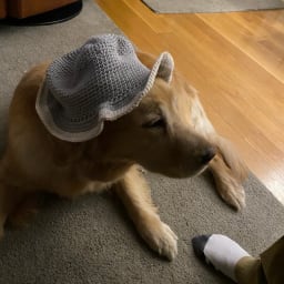 Classic Gray Bucket Hat - Thumbnail 2