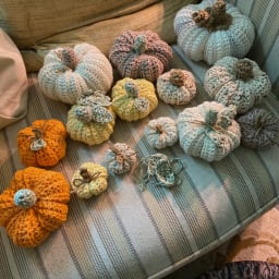 Pumpkin Patch Collection - Thumbnail 1