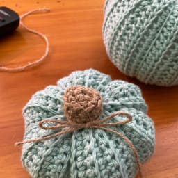 Pumpkin Patch Collection - Thumbnail 3