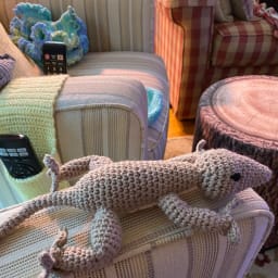 Rosie the Gecko - Thumbnail 1