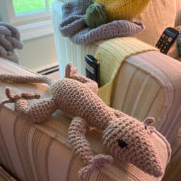 Rosie the Gecko - Thumbnail 2