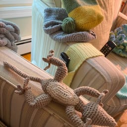 Rosie the Gecko - Thumbnail 3