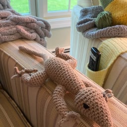 Rosie the Gecko - Thumbnail 4