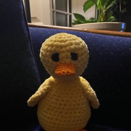 Ducky the Sunshine Duck - Thumbnail 1