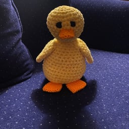 Ducky the Sunshine Duck - Thumbnail 2