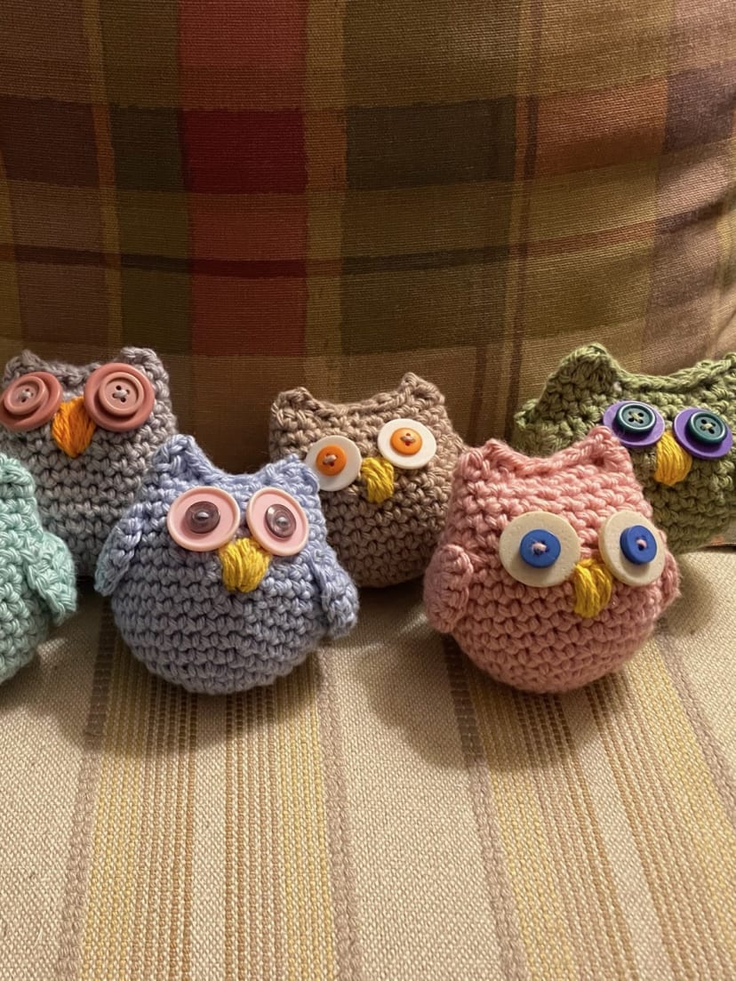 Mini Owl Family