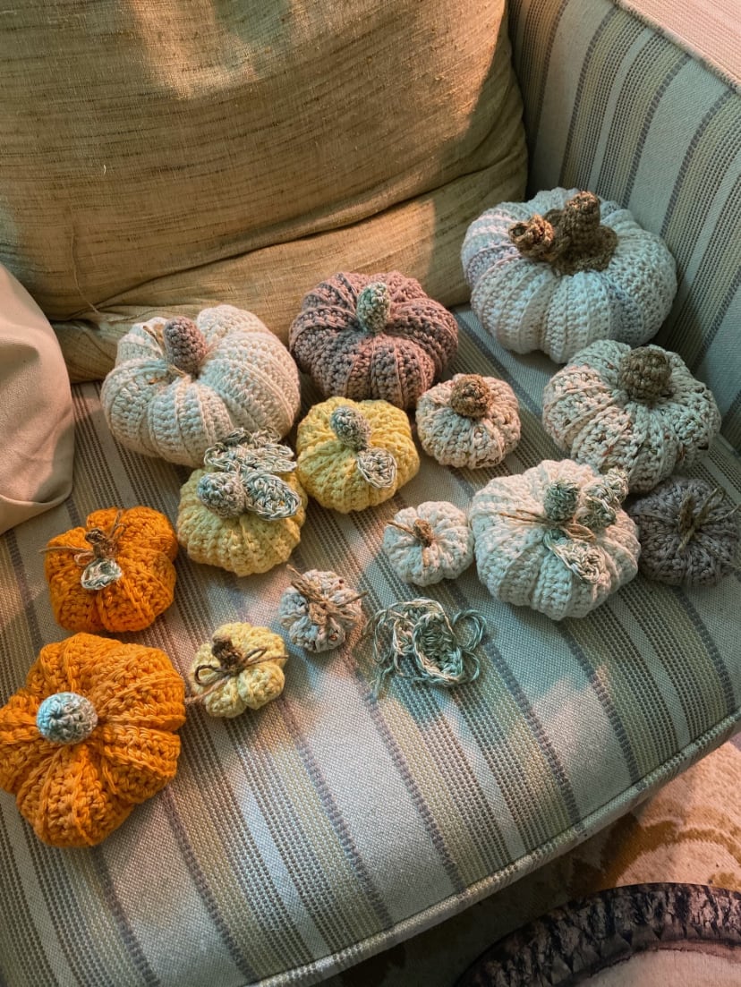 Pumpkin Patch Collection