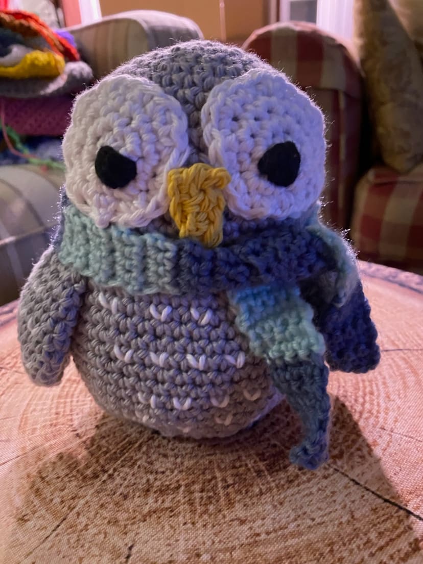 Ravenclaw Owl