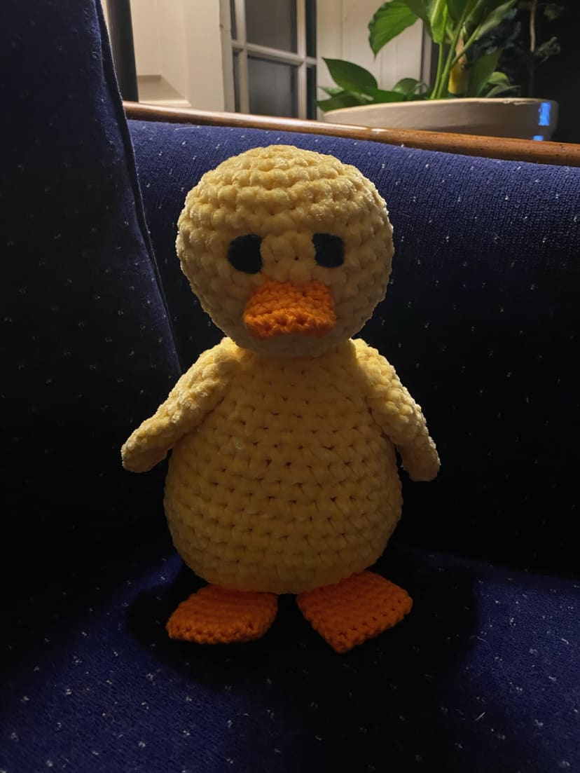 Ducky the Sunshine Duck