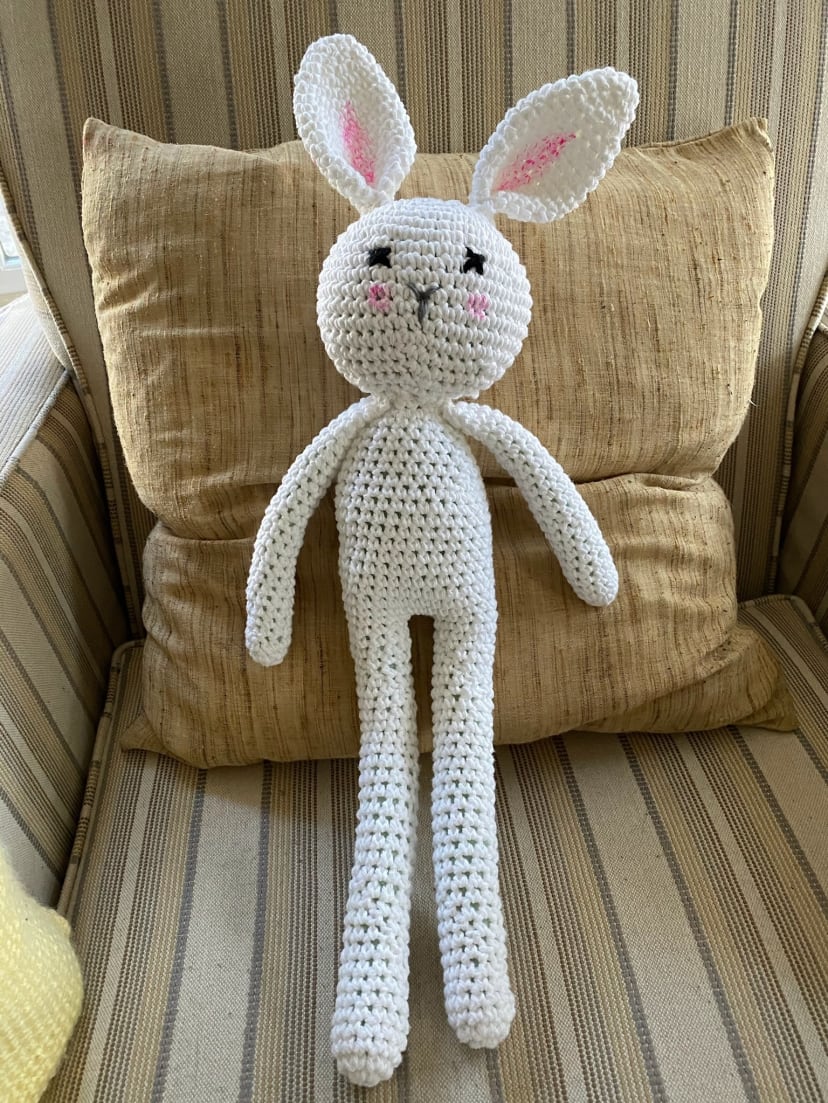 Snowball the Long-Legged Bunny