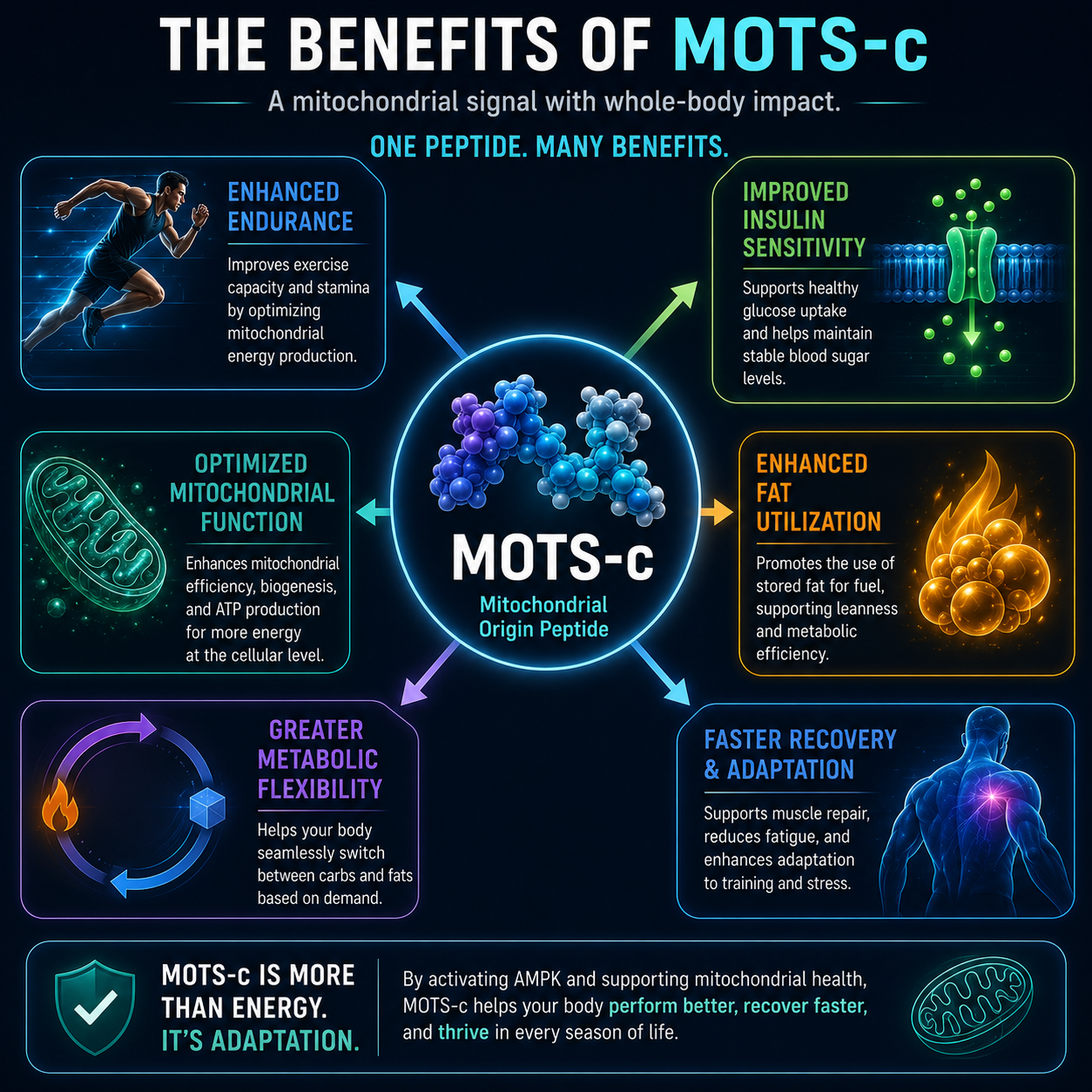 Benefits of MOTS-c explained