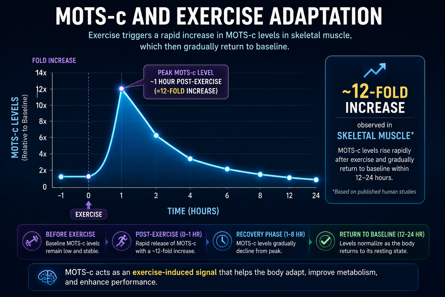MOTS-c is naturally produced from exercise