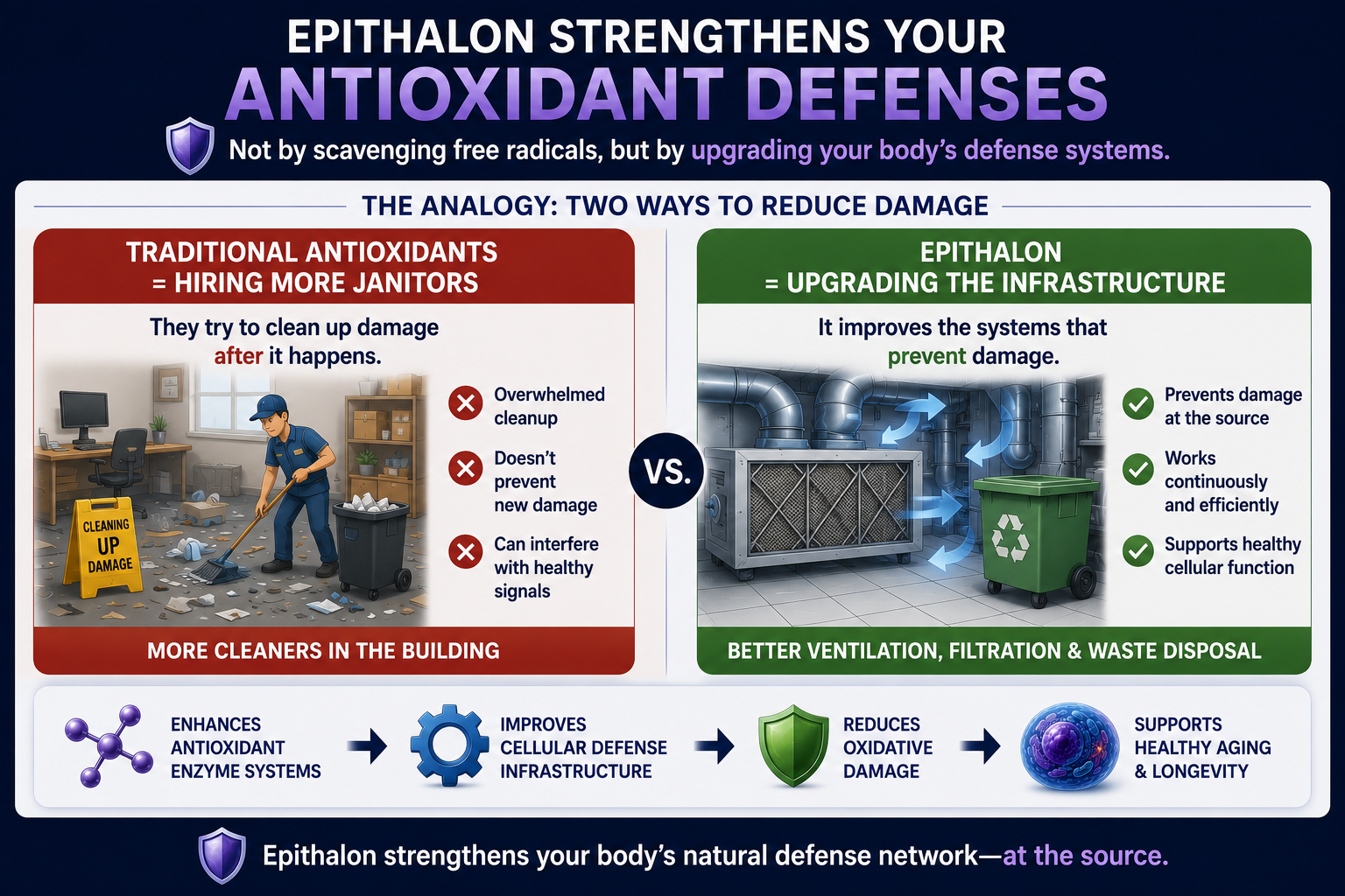 Epithalon vs traditional antioxidants