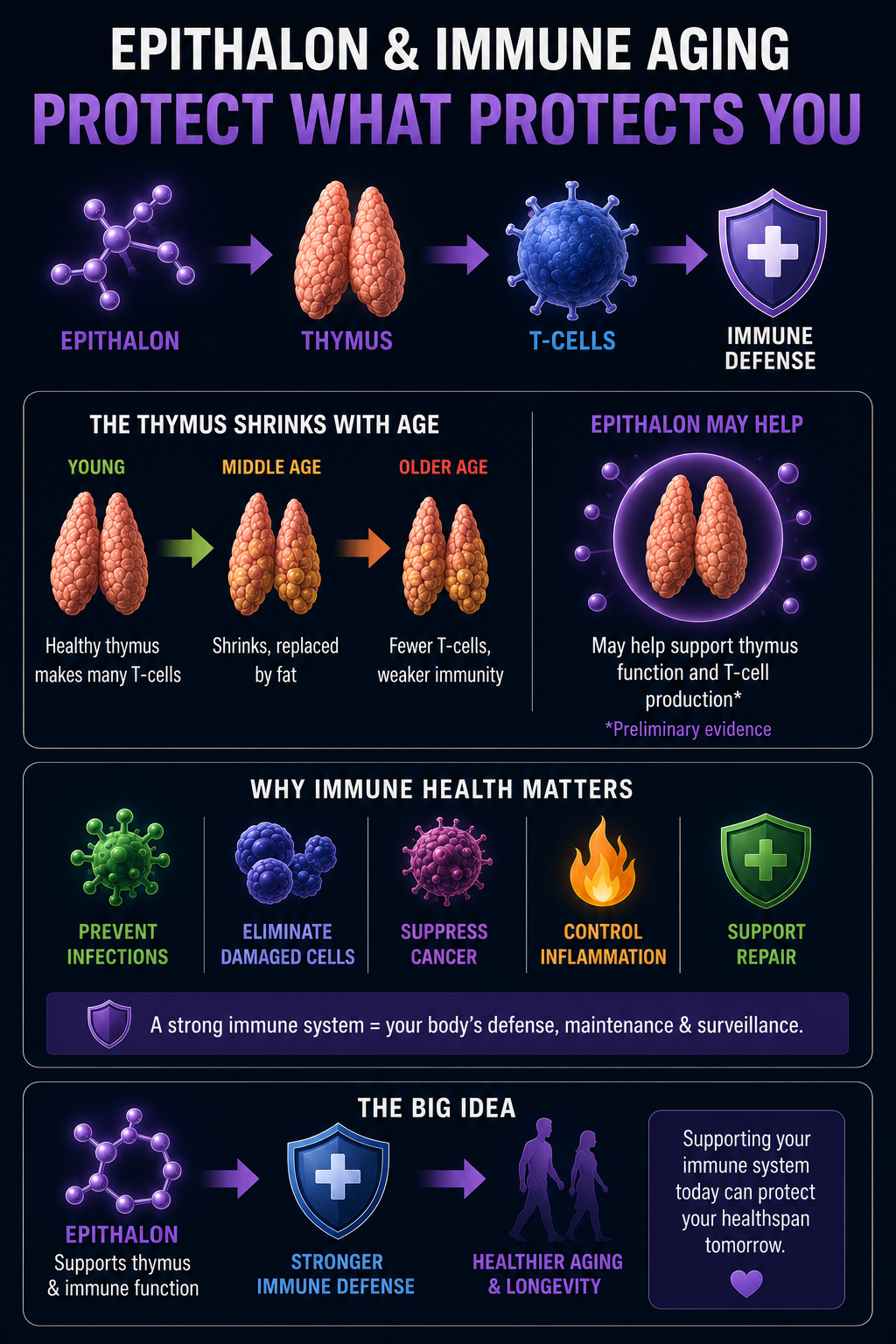 The aging immune system and epithalon