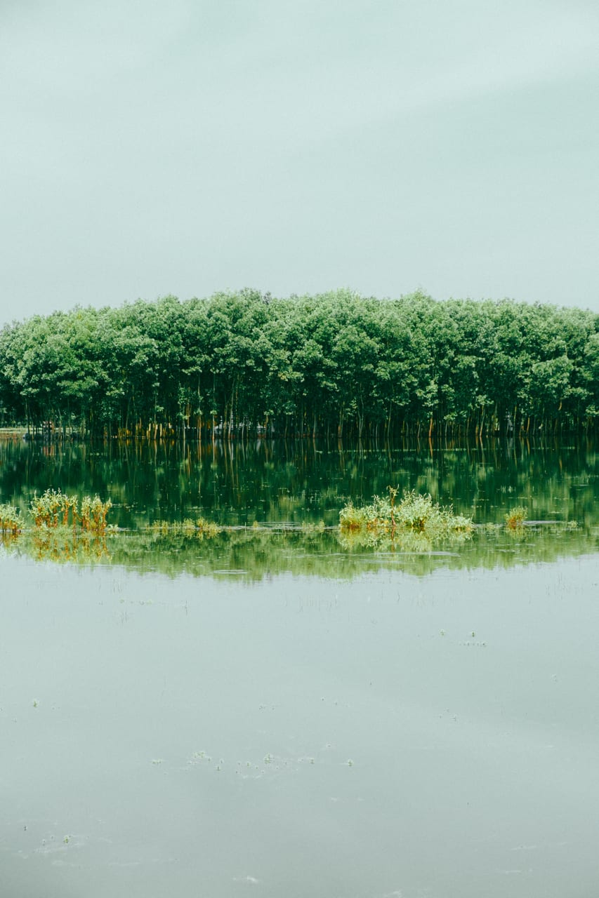 Vietnam Sauvage