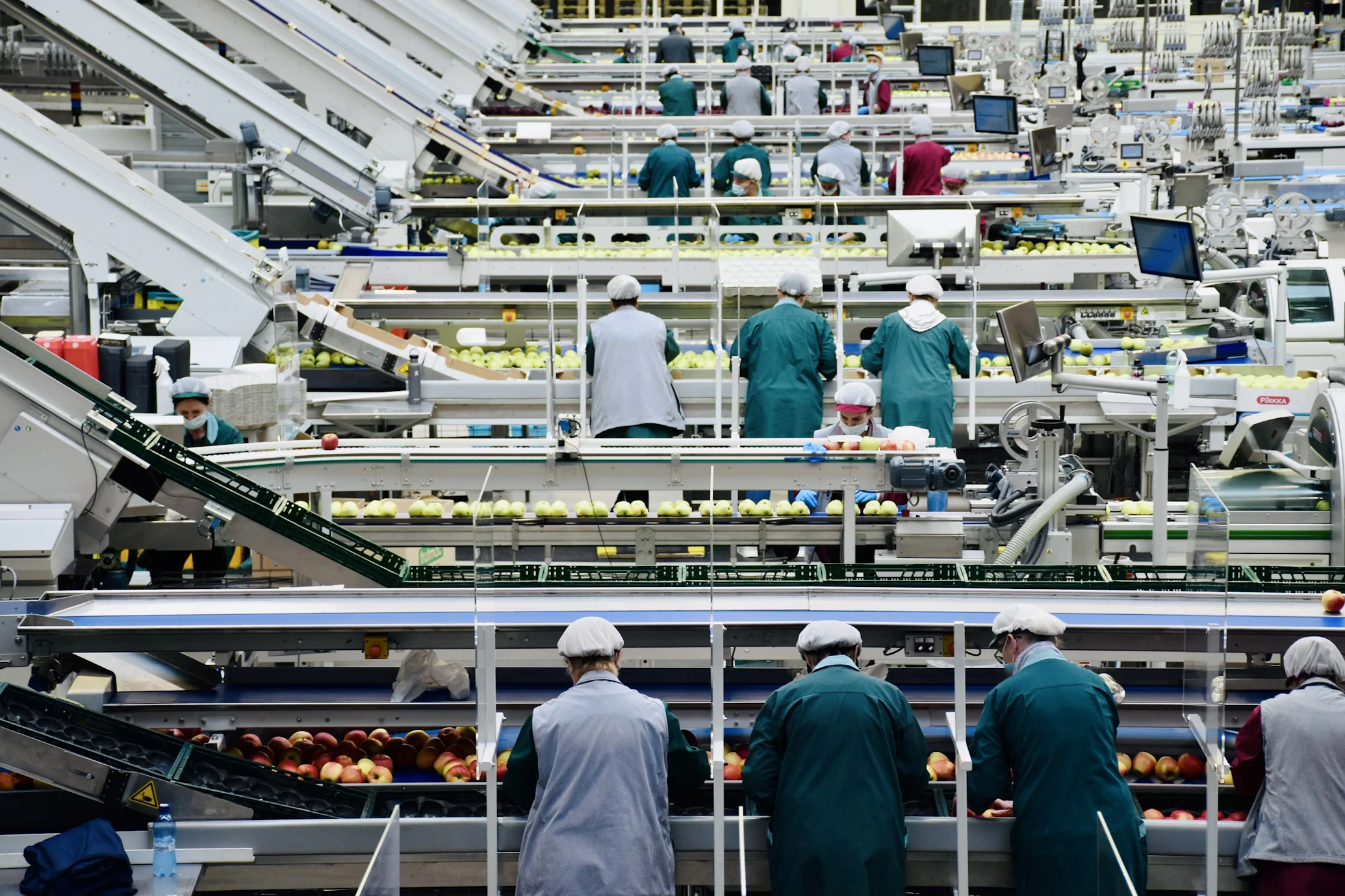 Food processing company and process