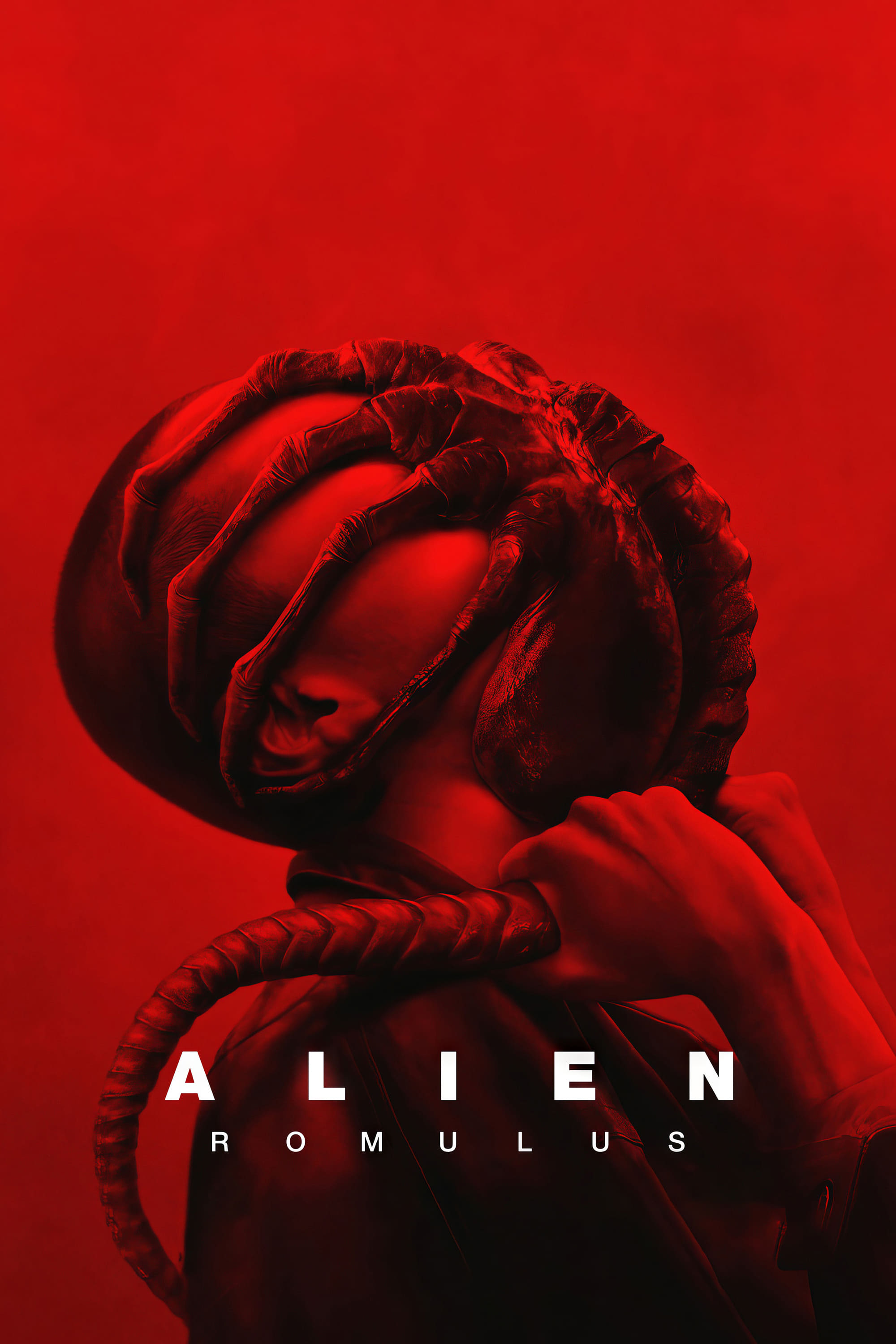 Ridley Scott confessed that watching Star Wars left him depressed for 3 months—it was just that good. He then dropped his next project and made Alien instead.

Director Fede Álvarez's Alien: Romulus releases next week, on 23 August, in India.