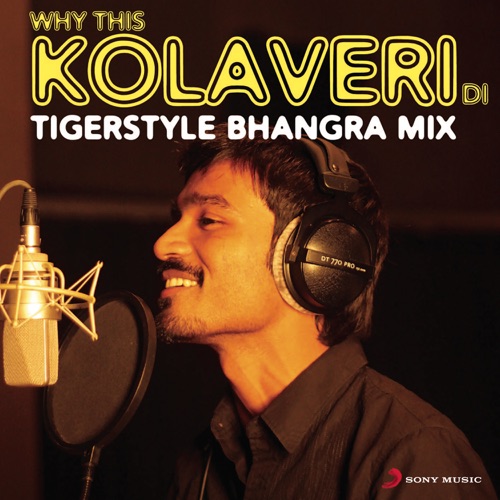 Why This Kolaveri Di? (The Tigerstyle Bhangra Mix)