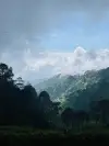 loop image