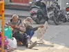 loop image