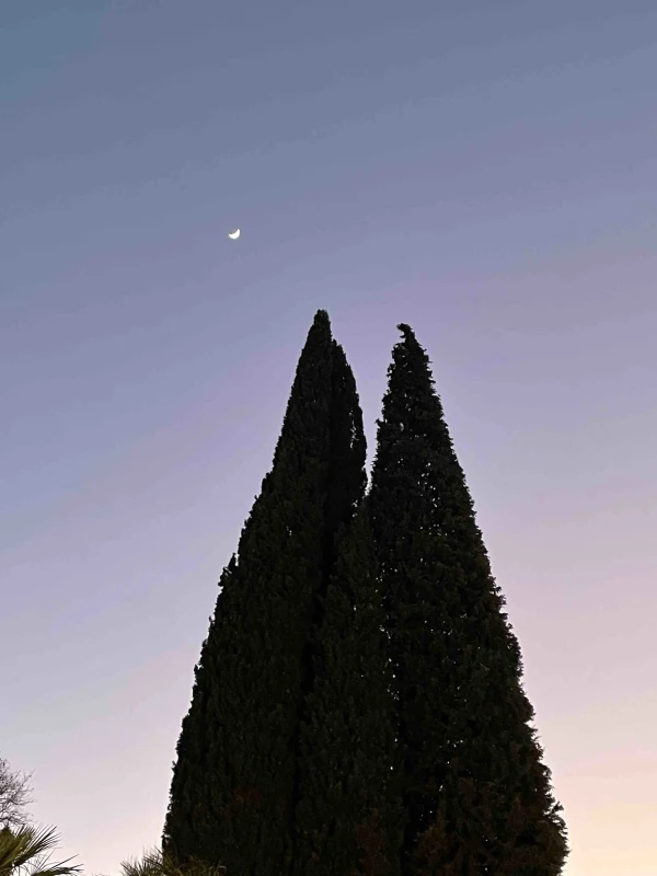 bit image