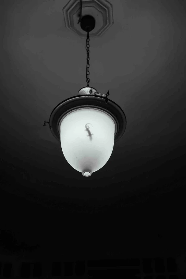 bit image