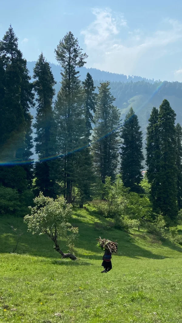 bit image