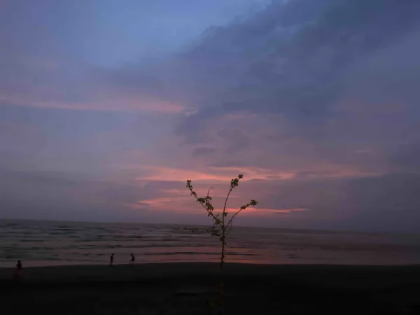 bit image
