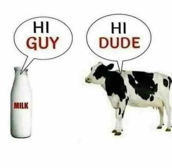 bit image