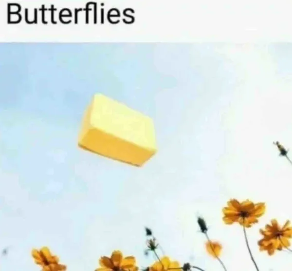 bit image