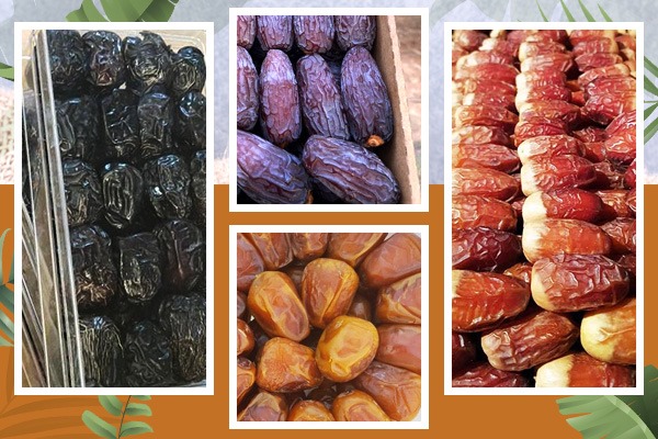 Dates