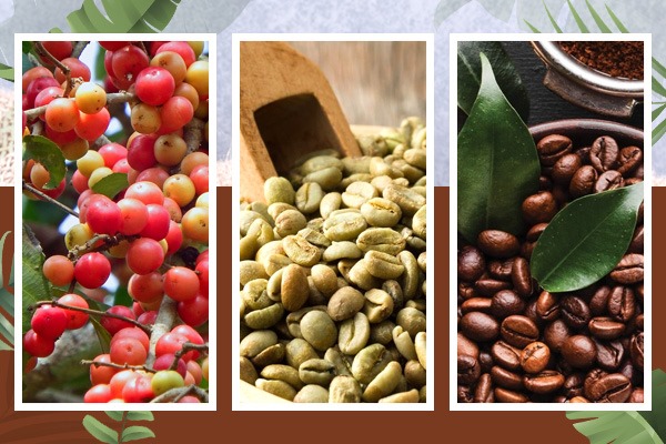 Coffees