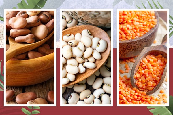Grains-Pulses