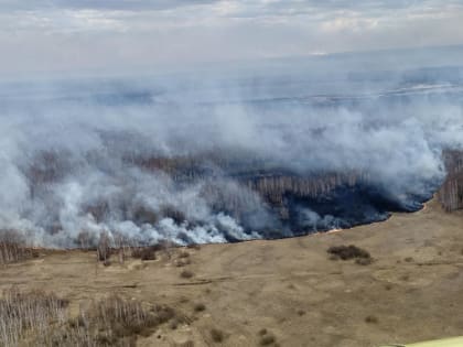 Александр Моор: виновные в возникновении природных пожаров будут строго наказаны