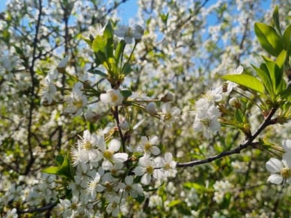 В субботу в Тюмени будет тепло, но пасмурно