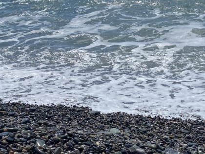 Аллерголог Ксения Кузьмичева объяснила, что такое иммунитет и укрепит ли его поездка на море