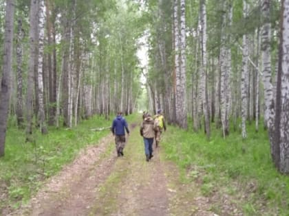 В Тюменской области ищут двух пропавших грибников