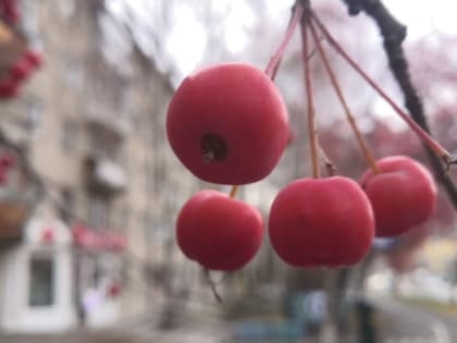 Во вторник в Тюмени резко похолодает