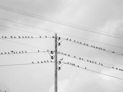 В последнюю неделю мая в Тюмени будет не весенняя погода