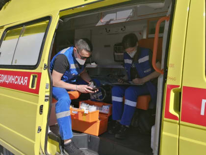 В Ишимском районе два мальчика съели семена белены и попали в реанимацию