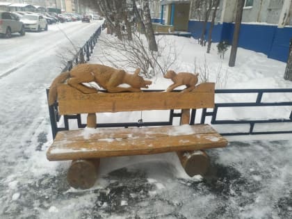 В Тюмени 13 марта прогнозируют ветренную погоду при 0 градусах