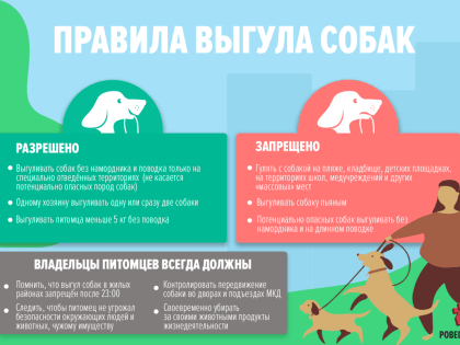 Как сделать так, чтобы вы выгуливали собаку, а не собака выгуливала вас?